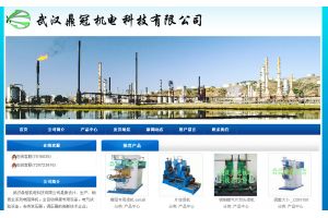 武漢鼎冠機電科技有限公司